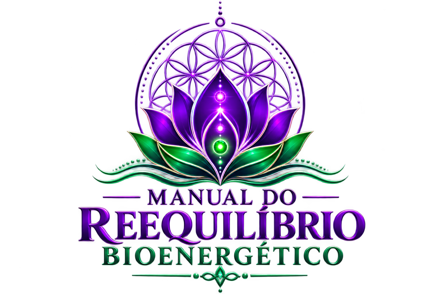 Manual do Reequilíbrio Bioenergético