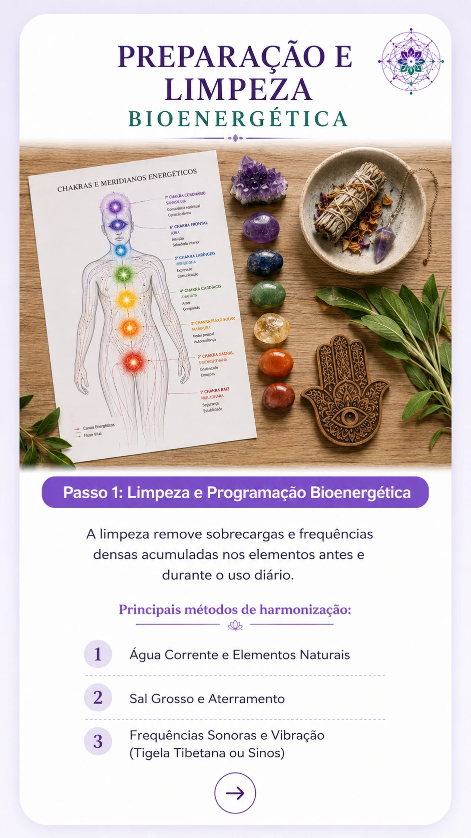 Prévia das páginas do módulo 3 do manual