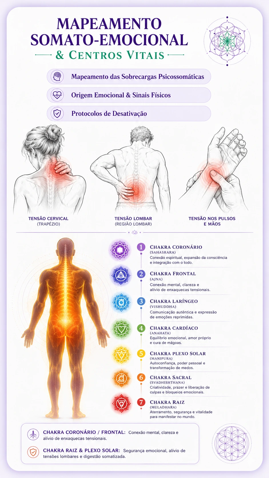 Prévia das páginas do módulo 4 do manual