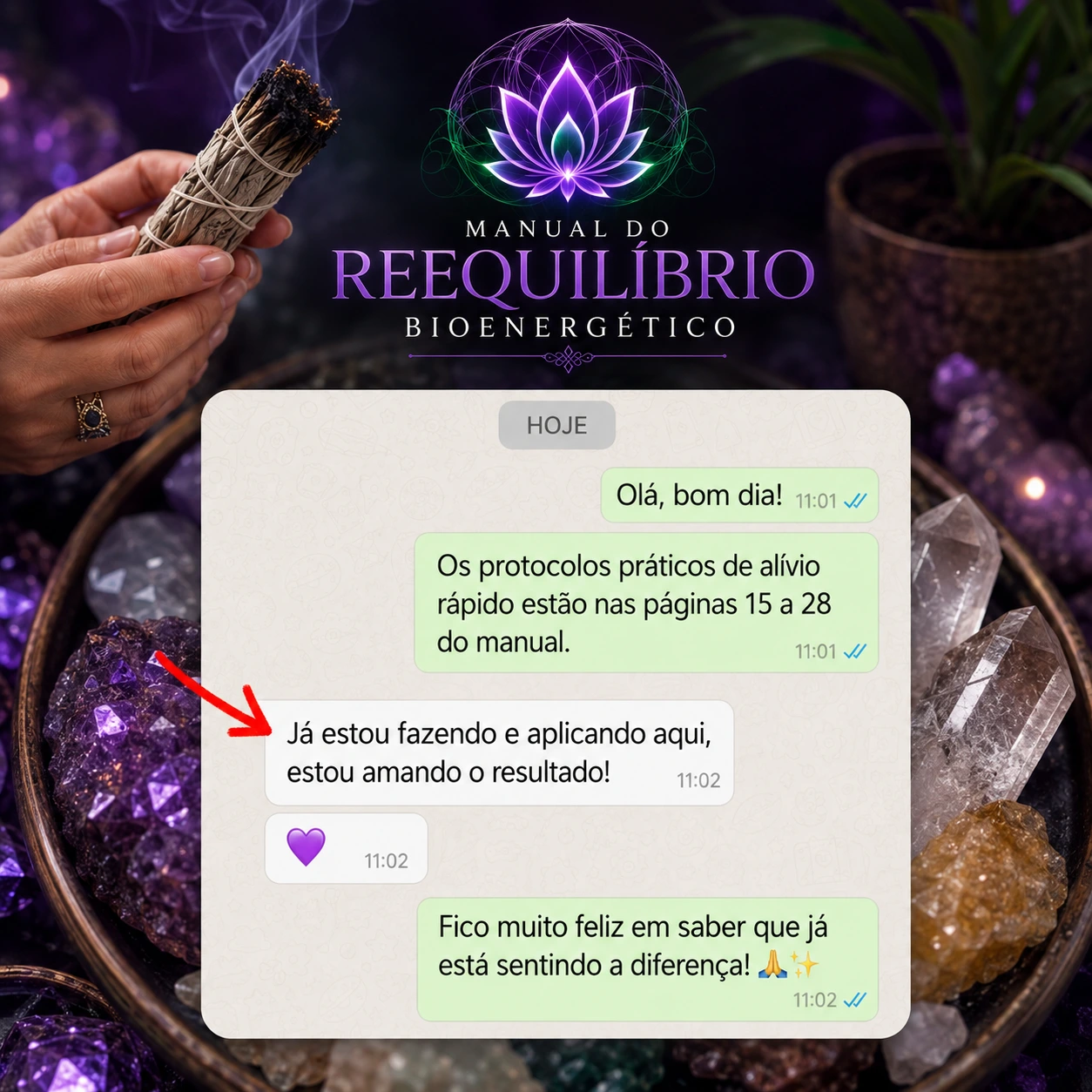 Depoimento real de cliente 6 no WhatsApp